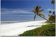 039_beach